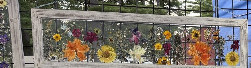 Long horizontal dimensional frame with dragonflies, wildflowers, and layered botanicals